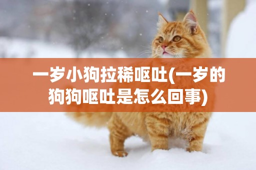 一歲小狗拉稀嘔吐(一歲的狗狗嘔吐是怎么回事)
