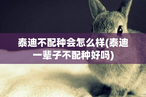 泰迪不配種會怎么樣(泰迪一輩子不配種好嗎)