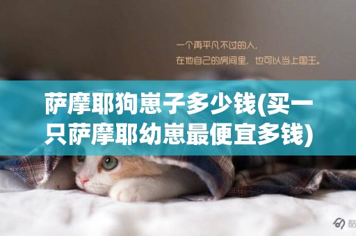 薩摩耶狗崽子多少錢(買一只薩摩耶幼崽最便宜多錢)