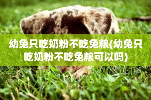 幼兔只吃奶粉不吃兔糧(幼兔只吃奶粉不吃兔糧可以嗎)