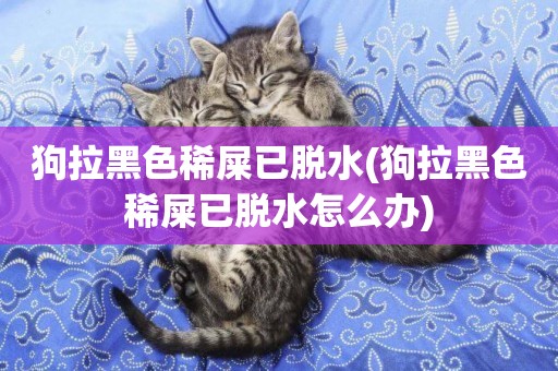 狗拉黑色稀屎已脫水(狗拉黑色稀屎已脫水怎么辦)