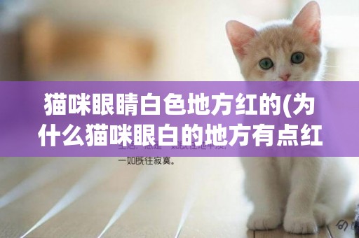 貓咪眼睛白色地方紅的(為什么貓咪眼白的地方有點紅)