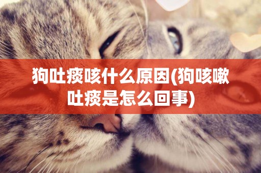 狗吐痰咳什么原因(狗咳嗽吐痰是怎么回事)