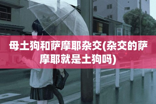 母土狗和薩摩耶雜交(雜交的薩摩耶就是土狗嗎)