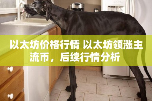 以太坊價格行情 以太坊領漲主流幣，后續行情分析 