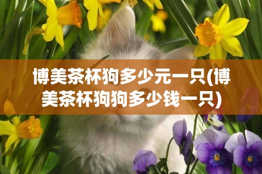博美茶杯狗多少元一只(博美茶杯狗狗多少錢一只)