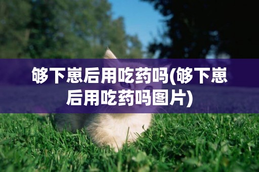 夠下崽后用吃藥嗎(夠下崽后用吃藥嗎圖片)