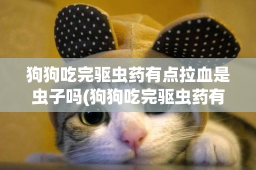 狗狗吃完驅蟲藥有點拉血是蟲子嗎(狗狗吃完驅蟲藥有點拉血是蟲子嗎怎么辦)