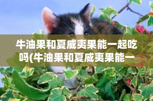 牛油果和夏威夷果能一起吃嗎(牛油果和夏威夷果能一起吃嗎***)