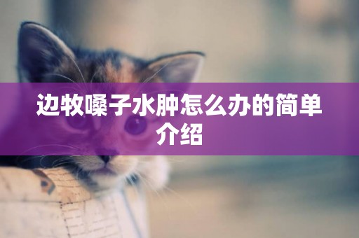 邊牧嗓子水腫怎么辦的簡單介紹