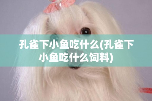 孔雀下小魚吃什么(孔雀下小魚吃什么飼料)