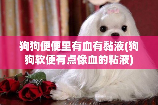 狗狗便便里有血有黏液(狗狗軟便有點像血的粘液)