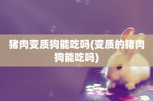 豬肉變質狗能吃嗎(變質的豬肉狗能吃嗎)