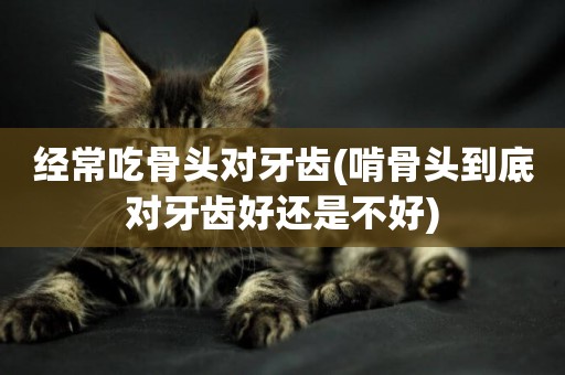 經常吃骨頭對牙齒(啃骨頭到底對牙齒好還是不好)