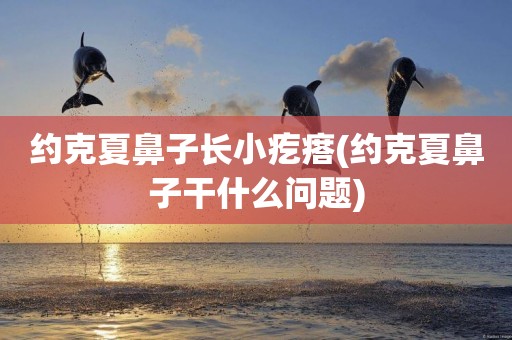 約克夏鼻子長小疙瘩(約克夏鼻子干什么問題)