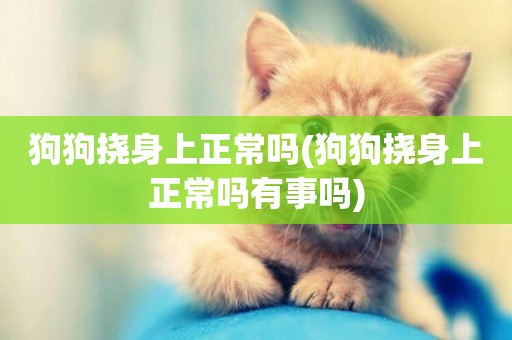 狗狗撓身上正常嗎(狗狗撓身上正常嗎有事嗎)