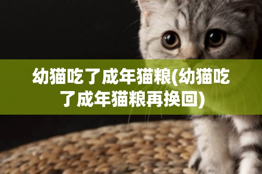 幼貓吃了成年貓糧(幼貓吃了成年貓糧再換回)