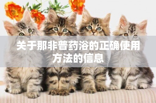 關于那非普藥浴的正確使用方法的信息