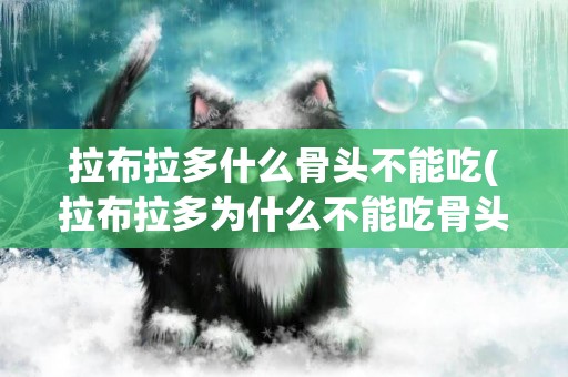 拉布拉多什么骨頭不能吃(拉布拉多為什么不能吃骨頭)