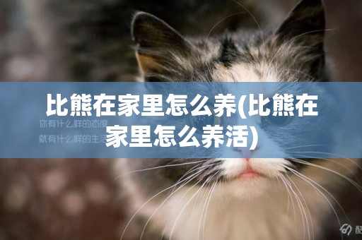比熊在家里怎么養(比熊在家里怎么養活)