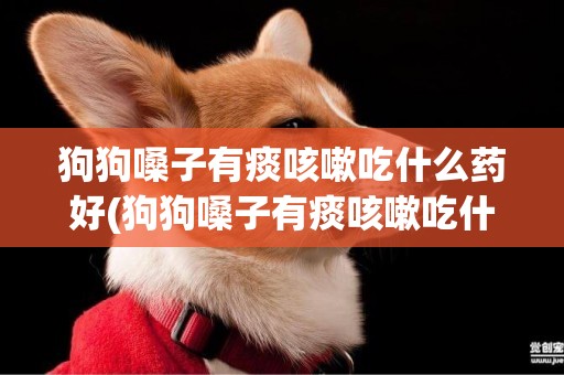 狗狗嗓子有痰咳嗽吃什么藥好(狗狗嗓子有痰咳嗽吃什么藥好得快)