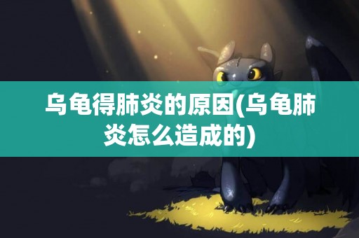 烏龜得肺炎的原因(烏龜肺炎怎么造成的)