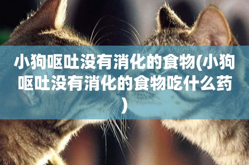 小狗嘔吐沒有消化的食物(小狗嘔吐沒有消化的食物吃什么藥)