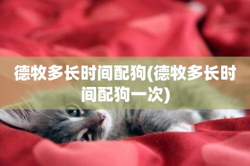 德牧多長時間配狗(德牧多長時間配狗一次)