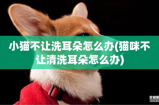 小貓不讓洗耳朵怎么辦(貓咪不讓清洗耳朵怎么辦)