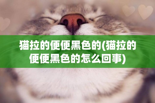 貓拉的便便黑色的(貓拉的便便黑色的怎么回事)