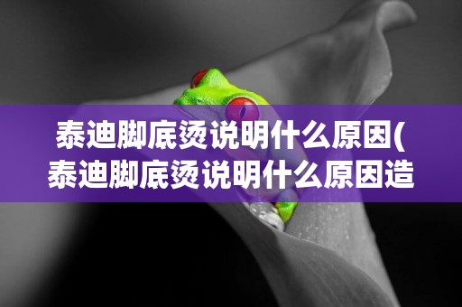 泰迪腳底燙說明什么原因(泰迪腳底燙說明什么原因造成的)