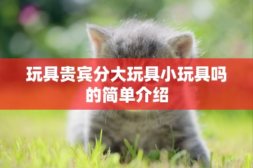 玩具貴賓分大玩具小玩具嗎的簡單介紹