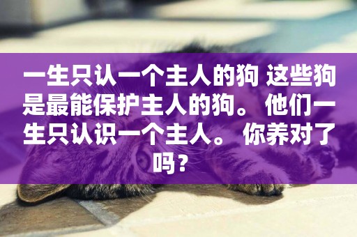 一生只認一個主人的狗 這些狗是最能保護主人的狗。 他們一生只認識一個主人。 你養對了嗎？ 