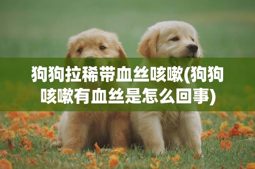 狗狗拉稀帶血絲咳嗽(狗狗咳嗽有血絲是怎么回事)