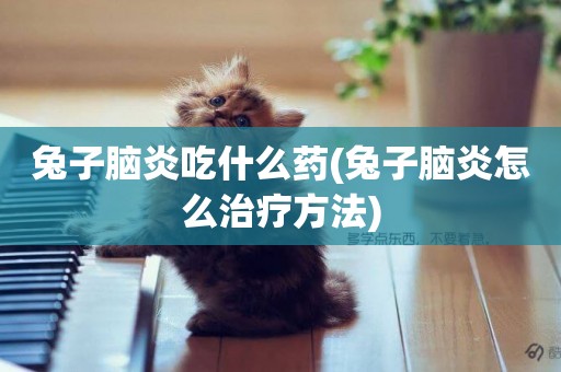 兔子腦炎吃什么藥(兔子腦炎怎么治療方法)