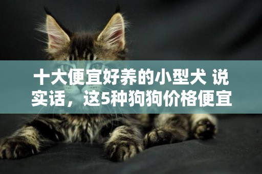 十大便宜好養的小型犬 說實話，這5種狗狗價格便宜又好養，但寵物店老板不會告訴你！ 