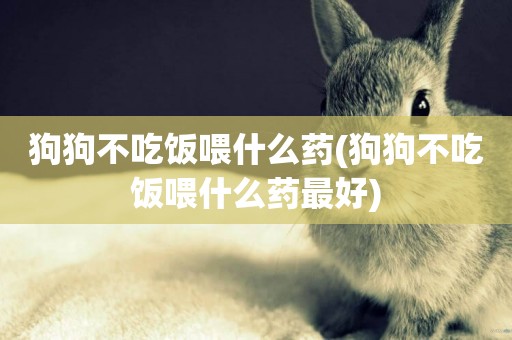 狗狗不吃飯喂什么藥(狗狗不吃飯喂什么藥最好)