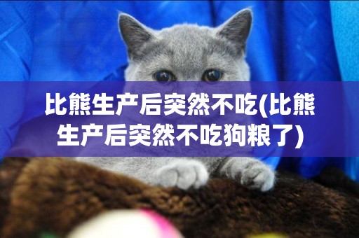 比熊生產后突然不吃(比熊生產后突然不吃狗糧了)