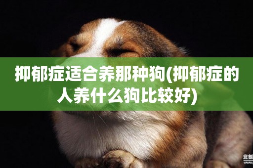 抑郁癥適合養那種狗(抑郁癥的人養什么狗比較好)