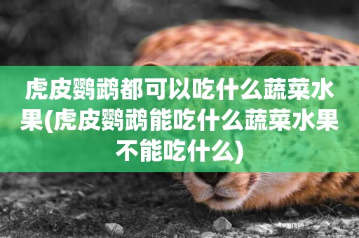 虎皮鸚鵡都可以吃什么蔬菜水果(虎皮鸚鵡能吃什么蔬菜水果不能吃什么)