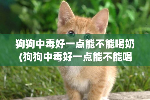 狗狗中毒好一點能不能喝奶(狗狗中毒好一點能不能喝奶了)