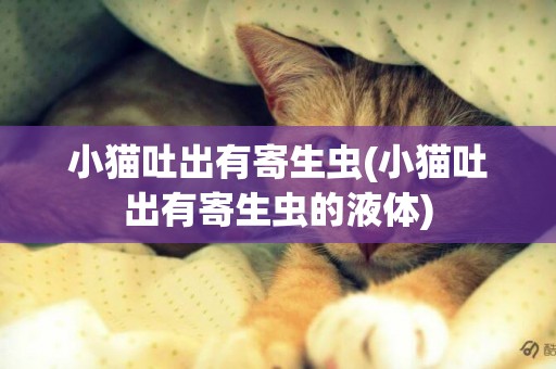 小貓吐出有寄生蟲(小貓吐出有寄生蟲的液體)