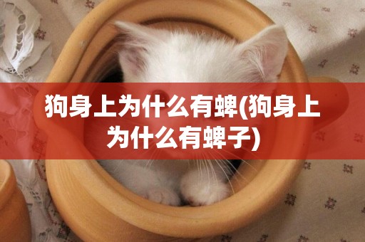 狗身上為什么有蜱(狗身上為什么有蜱子)