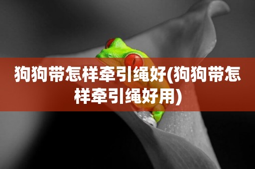 狗狗帶怎樣牽引繩好(狗狗帶怎樣牽引繩好用)