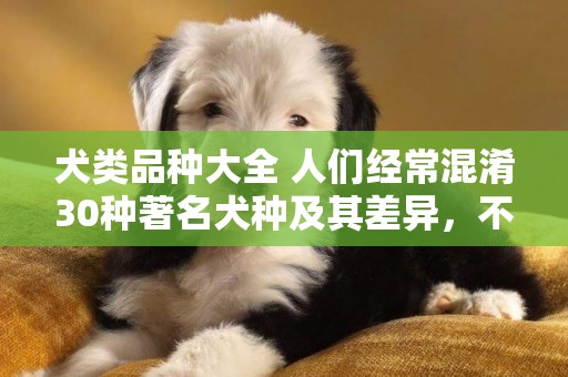 犬類品種大全 人們經常混淆30種著名犬種及其差異，不要再混淆了 