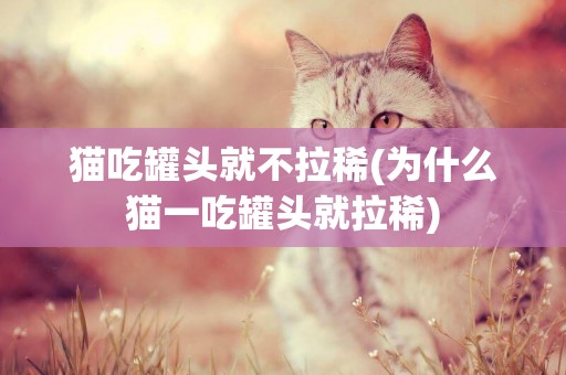 貓吃罐頭就不拉稀(為什么貓一吃罐頭就拉稀)