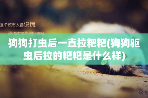 狗狗打蟲后一直拉粑粑(狗狗驅蟲后拉的粑粑是什么樣)
