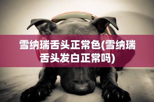 雪納瑞舌頭正常色(雪納瑞舌頭發白正常嗎)