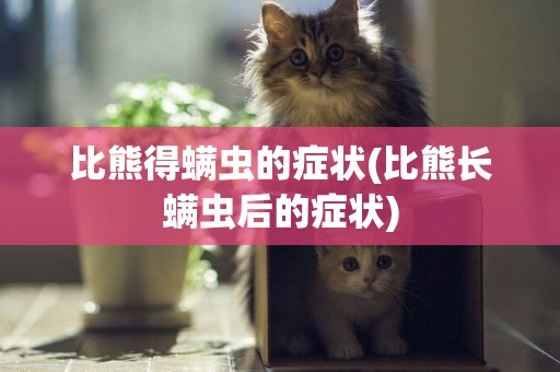 比熊得螨蟲的癥狀(比熊長螨蟲后的癥狀)