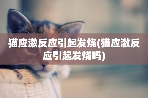 貓應激反應引起發燒(貓應激反應引起發燒嗎)